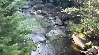 Discover Peace by the River at Mt Washington