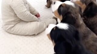 Baby and dog