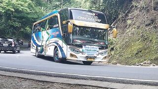 Bus Budiman dan bus teguh muda lagi adu keahlian