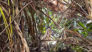 fishing in the peat swamp forest