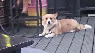 Funny unexpected moments that will definitely lift your mood!