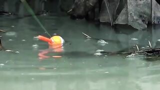 fishing gets the best strike