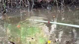 fishing is good like this, easy to get a strike