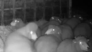 Why is this happening