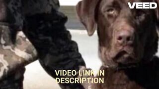 VIDEO COLE PREVOST DOG VIDEO FULL TWITTER