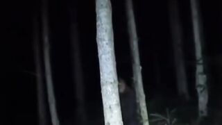 Appearance recorded on camera