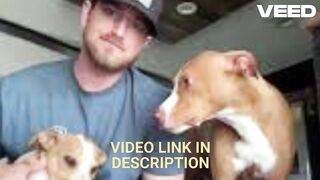 FULL VIDEO COLE PREVOST DOG VIDEO FULL XX TWITTER