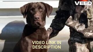 [ ORIGINAL VIDEO ] portal zacarias 5 vs 1 ônibus abandonado full menina no onibus