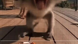 Maybe this is a good appetizer