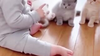 Bayi vs tiga kucing gendut lucu