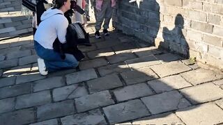 Orange cat superstar