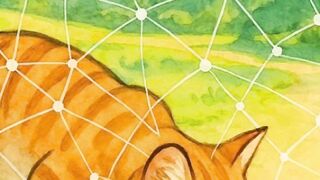 How cats never get lost the secret of their amazing mental maps!