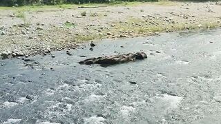 Pemandangan alam bukit lawang