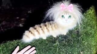 Whats that Caterpillars ?