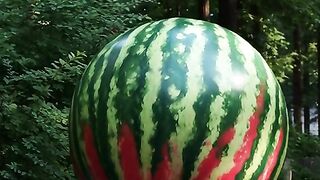 Semangka jumbo