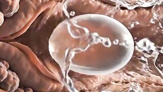 Pregnancy process video