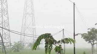 cool and peaceful morning