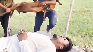 Mau ketawa takut dosa video  lucu bikin ngakak hiburan warga62
