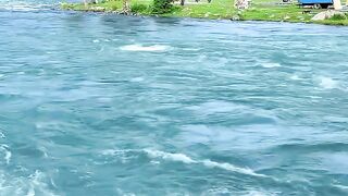 river with beautiful views