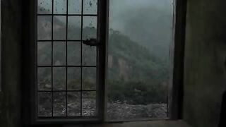 Rain in the Forest  ASMR Nature Sounds for Peaceful Sleep