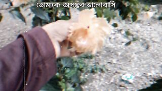 Love story