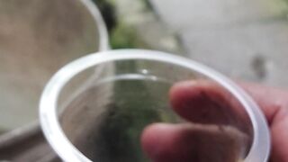 poor cockroach got into a coffee cup