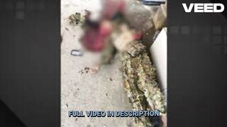 Penelope Da Penha [ New ]