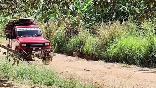 Truck 4X4 for palm oil farmers