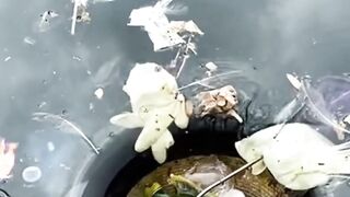 innovative invention ocean trash bin