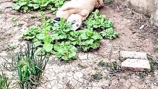This mother is panicking! She found her toddler asleep in the park