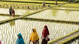 Beautiful view of village women