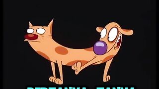 CatDog Ternyata Hasil Eksperimen Gila Ini Fakta Mencengangkan
