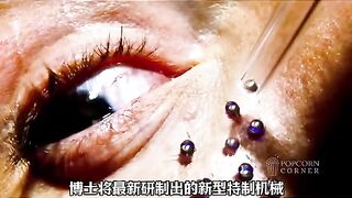 Eksperimen Rahasia Teror Serangga Mekanik recap fyp viral