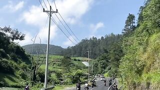 Pemandangan yang menyejukan