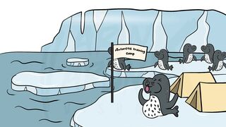 Your Life as a Leopard Seal