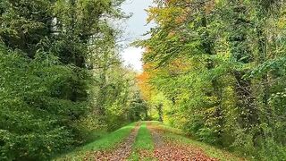 the beautiful things