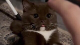 Reason why I cant get any work done