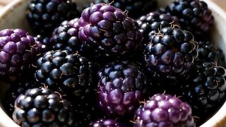 various fruits Blackberry