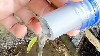 Video DIY