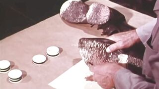 The fascinating process of human decomposition