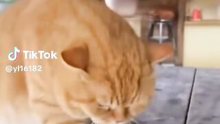 Drama Si Onyen Lagi Bikin Kue