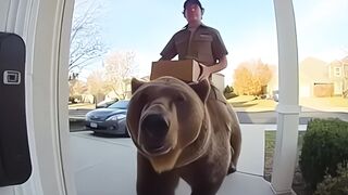 CCTV Captures Delivery Guy Riding a BEAR Like Its Totally Normal