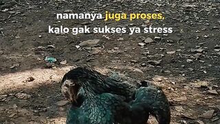 NAMANYA JUGA PROSES