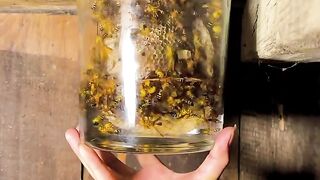 Traditional Chinese drink made from fermented honey bees