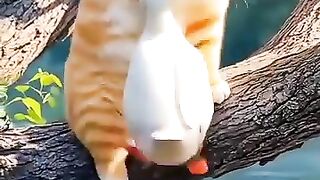 AI Cat They Were Best Friends Until Everything Went Wrong
