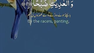 Tilawat e Quran Majeed in Arabic