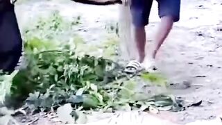 He Thought It Was Easy. Until the Goat Moved!