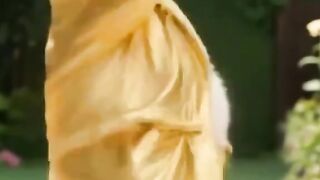 FUNNY CAT VIDEO - Cute cat dancing VIRAL!