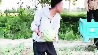 Funniest Moments That Will Make You Cry Laughing!