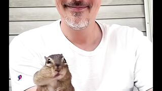 mice have a unique way of eating nuts